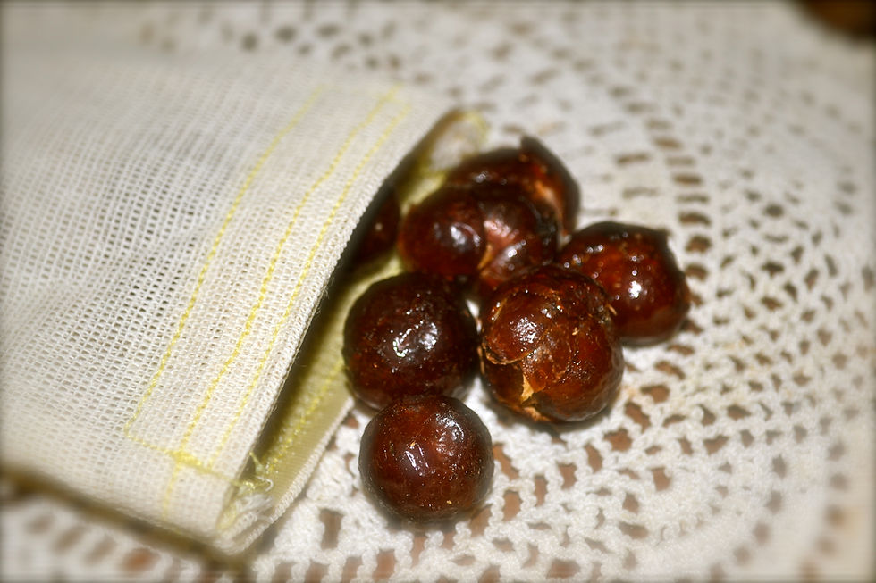 Thumbnail: Bulk Whole Soapberries,