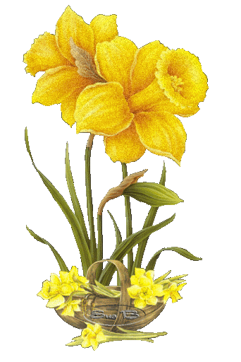 JONQUILLES SCINTILLANTES.gif