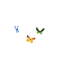 3_pts_papillons_animés.gif