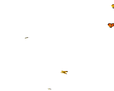 PETITS PAPILLONS VOLENT 2.gif