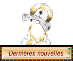CHIEN  DERNIERES NOUVELLES.gif