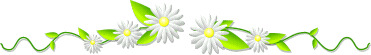 petites marguerites.gif