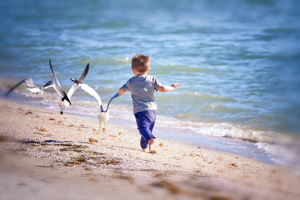 Chasing The Birds On The Shore