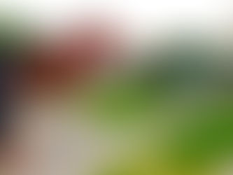 Temporary fencing Hire from Melbourne's best!