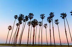 AdobeStock_61094117.jpeg