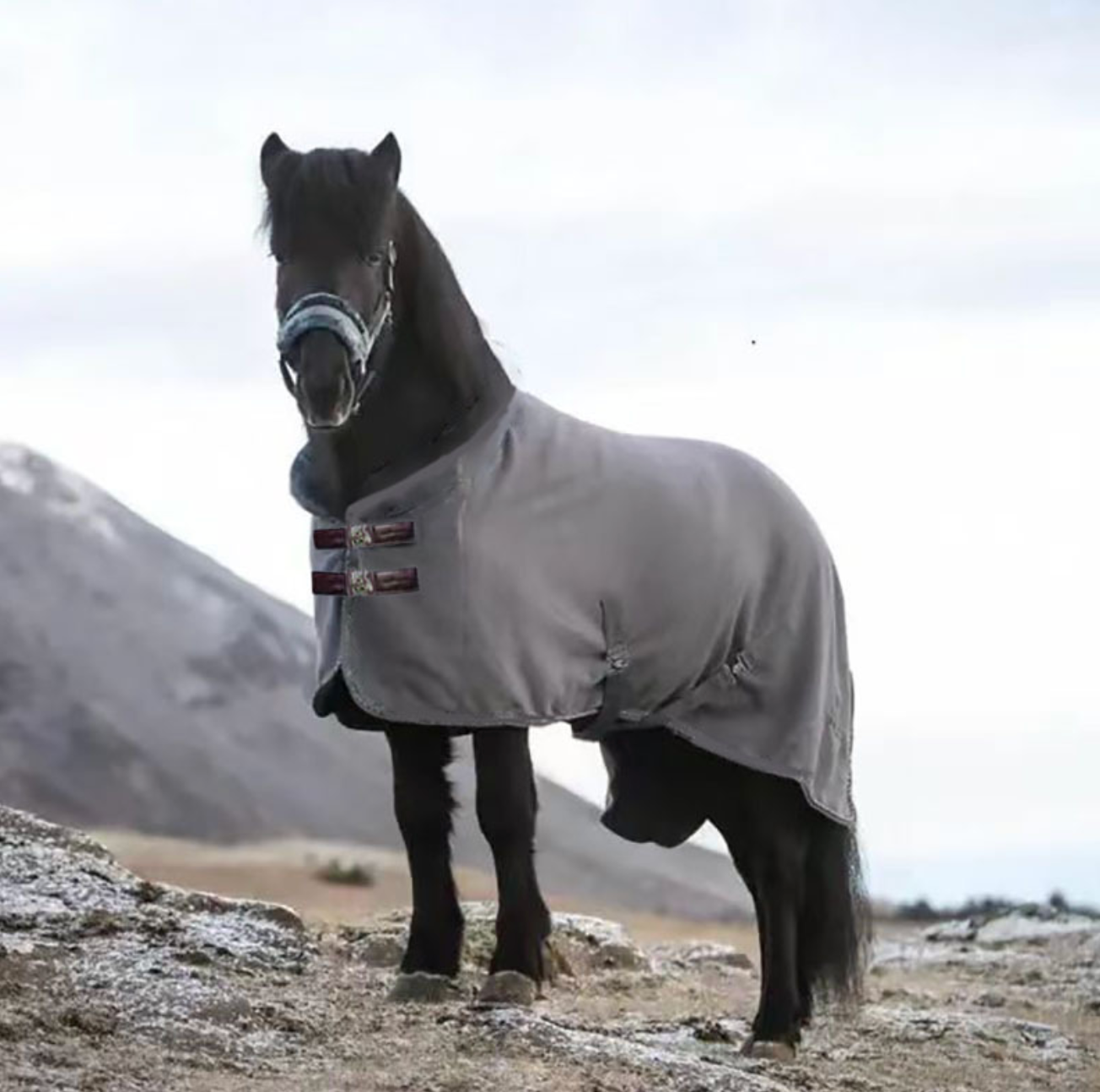 Horse Winter Blanket With Full Neck Cold Weather Protection