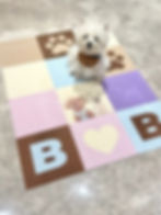 Small white dog sitting on pastel interlocking pet mats with paw-print inserts