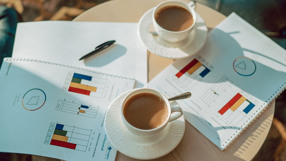 Insights Discovery color wheel showing psychological preferences for leadership development
