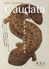 Caudata 第2号 | 有尾社 Caudata 第2号 | 有尾社