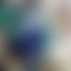 展示のお知らせ