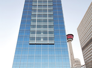 palliser.jpg