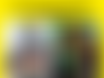 Casa Loma se transforma en un castillo de hadas y dragones