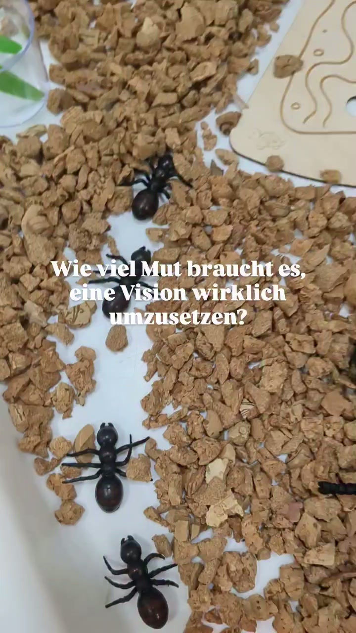 Ameisenbau