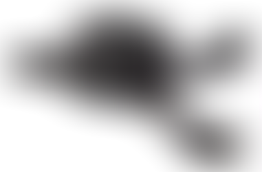 Microshift Centos Xpress Plus Flat Bar Shifters 2×11, SL-R861-2