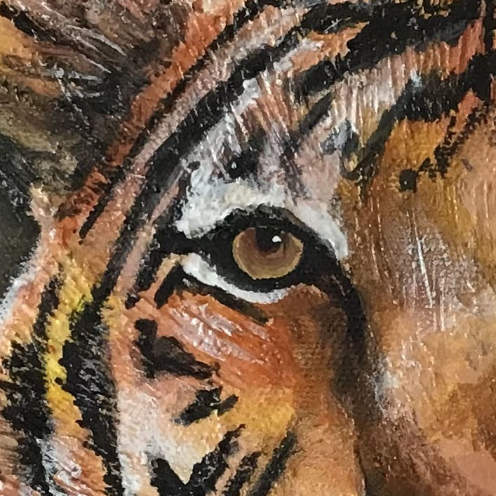 Thumbnail: Tiger (P)