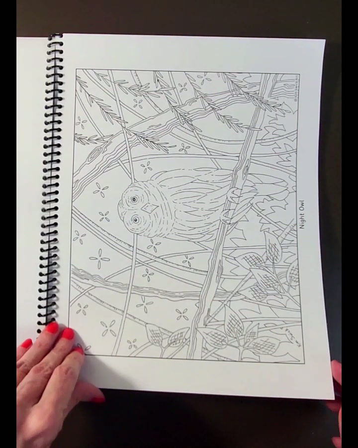 Thumbnail: animals coloring pages video