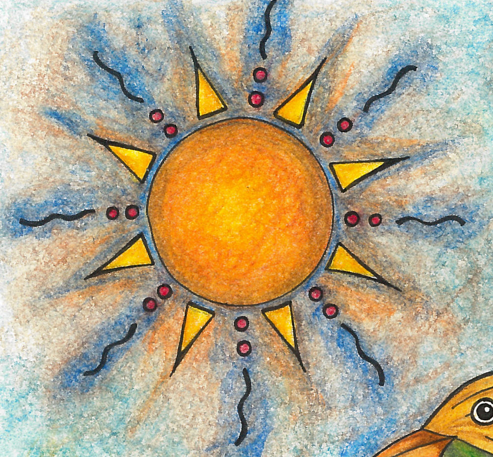 Thumbnail: Colorful bird sitting on a branch with the sun