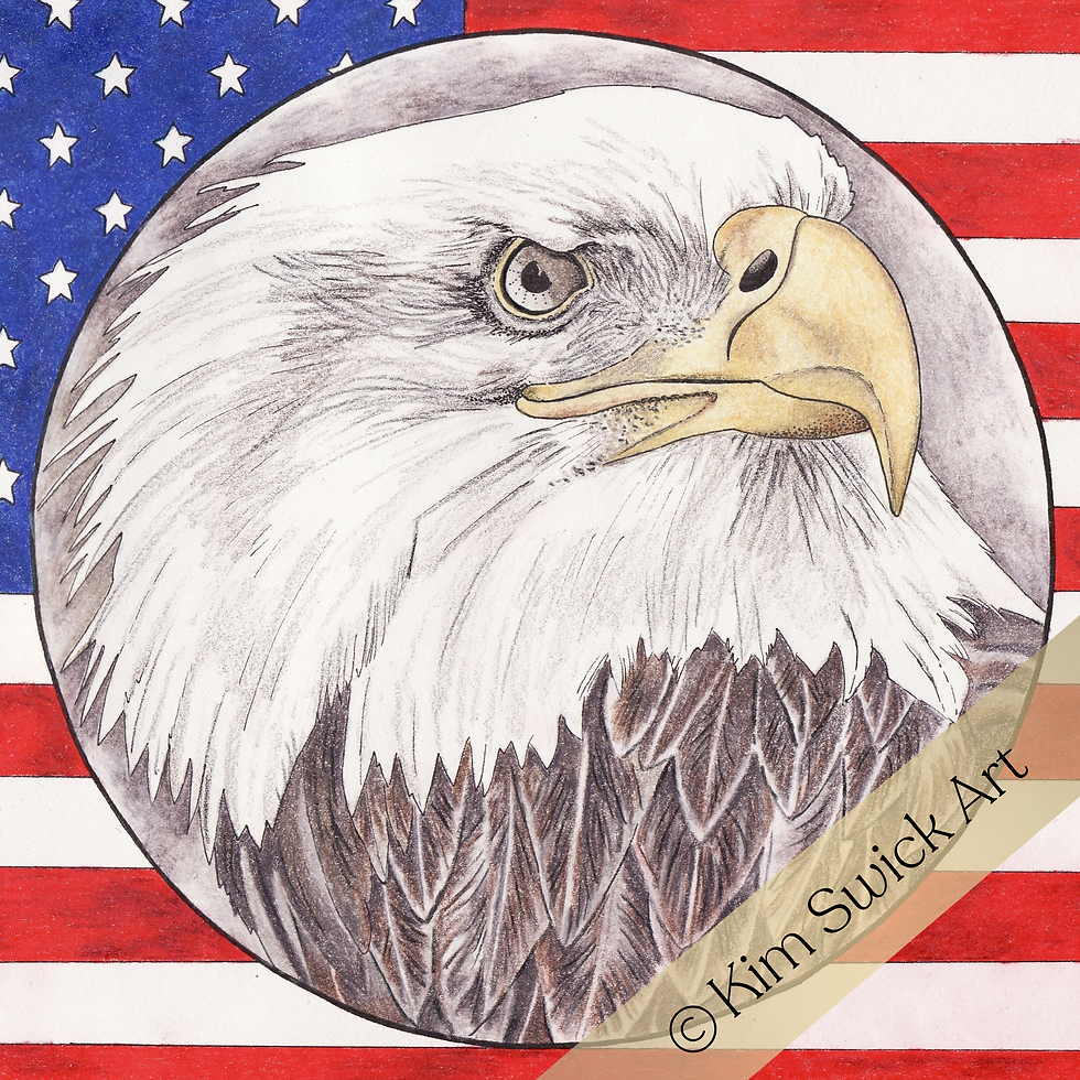 Patriotic eagle portrait