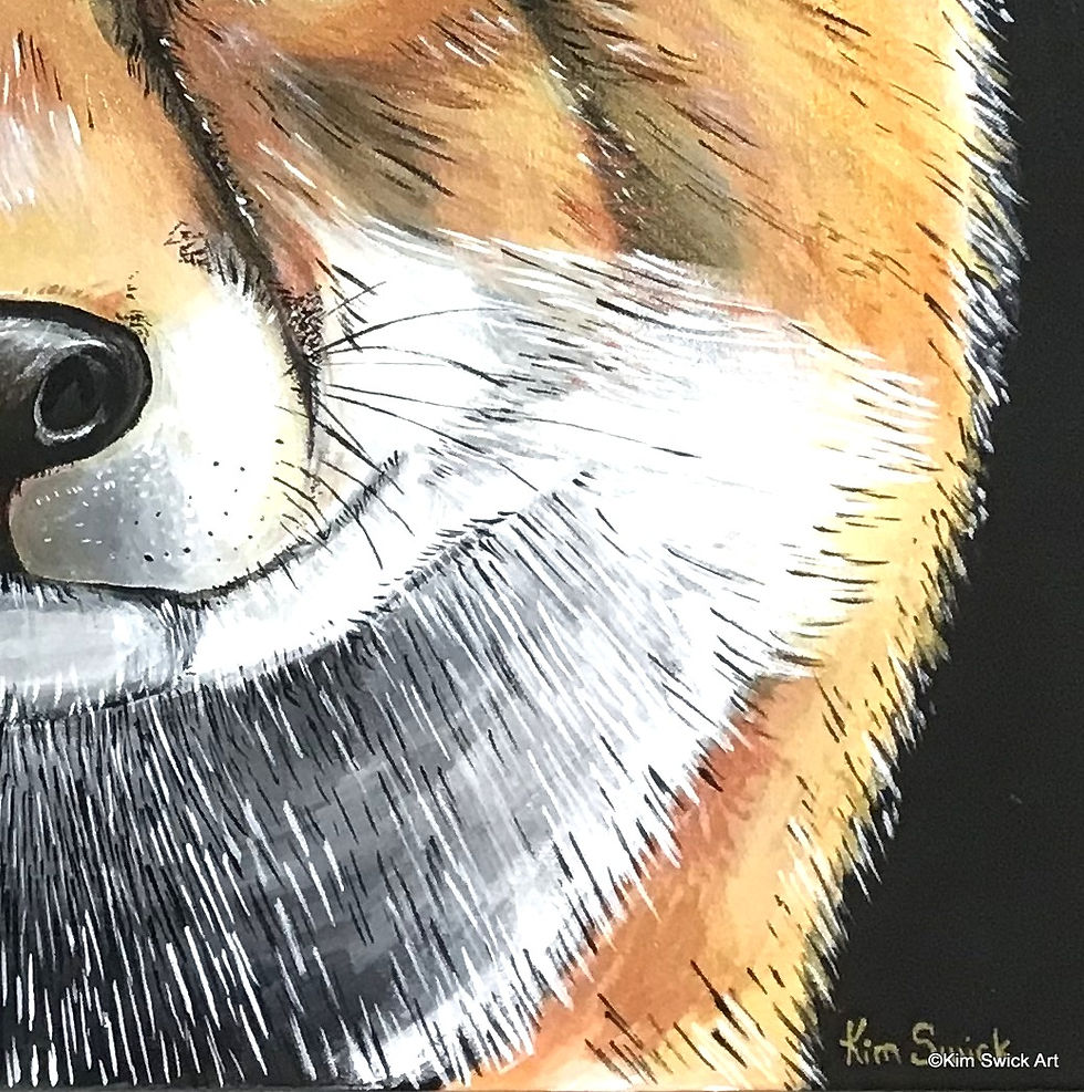 Thumbnail: Fox in Gold (P)