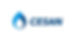 logo_cesan