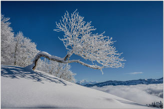 Vers Creux Lachat