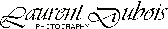 LOGO 7.gif