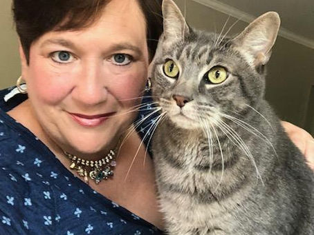Unveiling the Mysterious World of Cats: Insights from a Pet Sitter