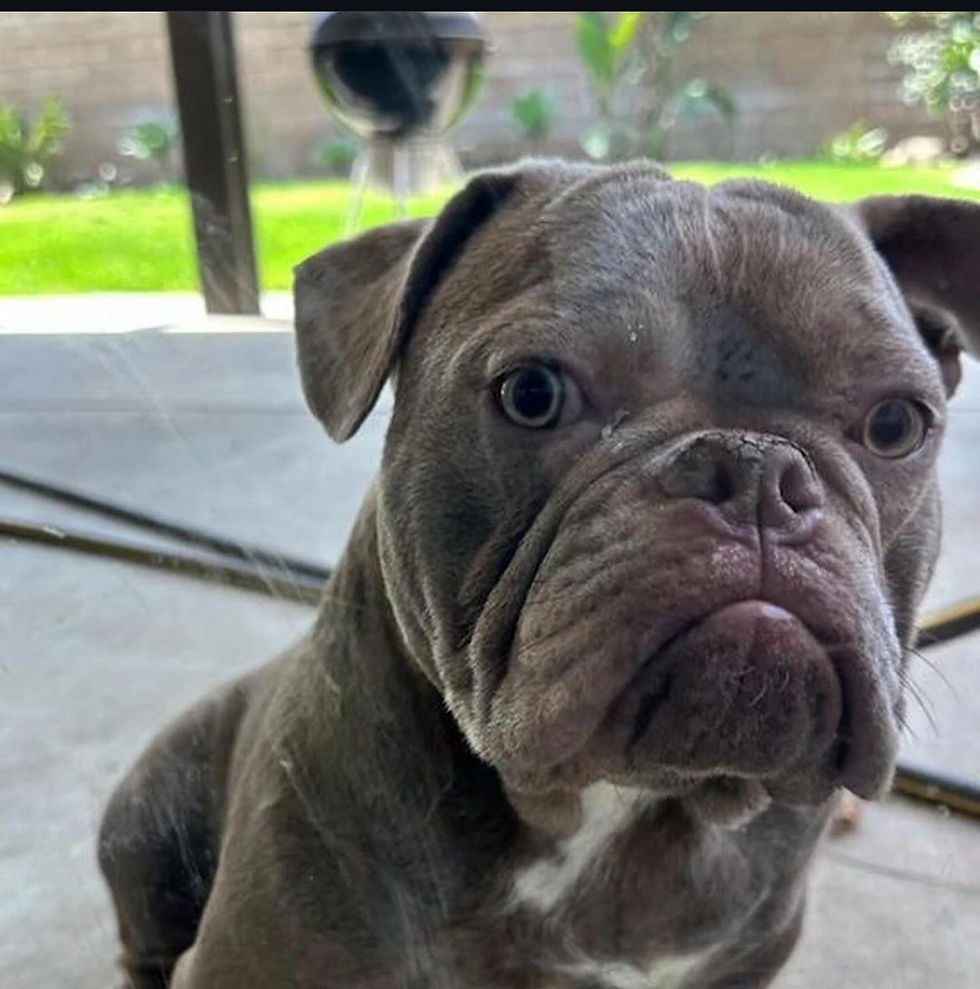 Tucker