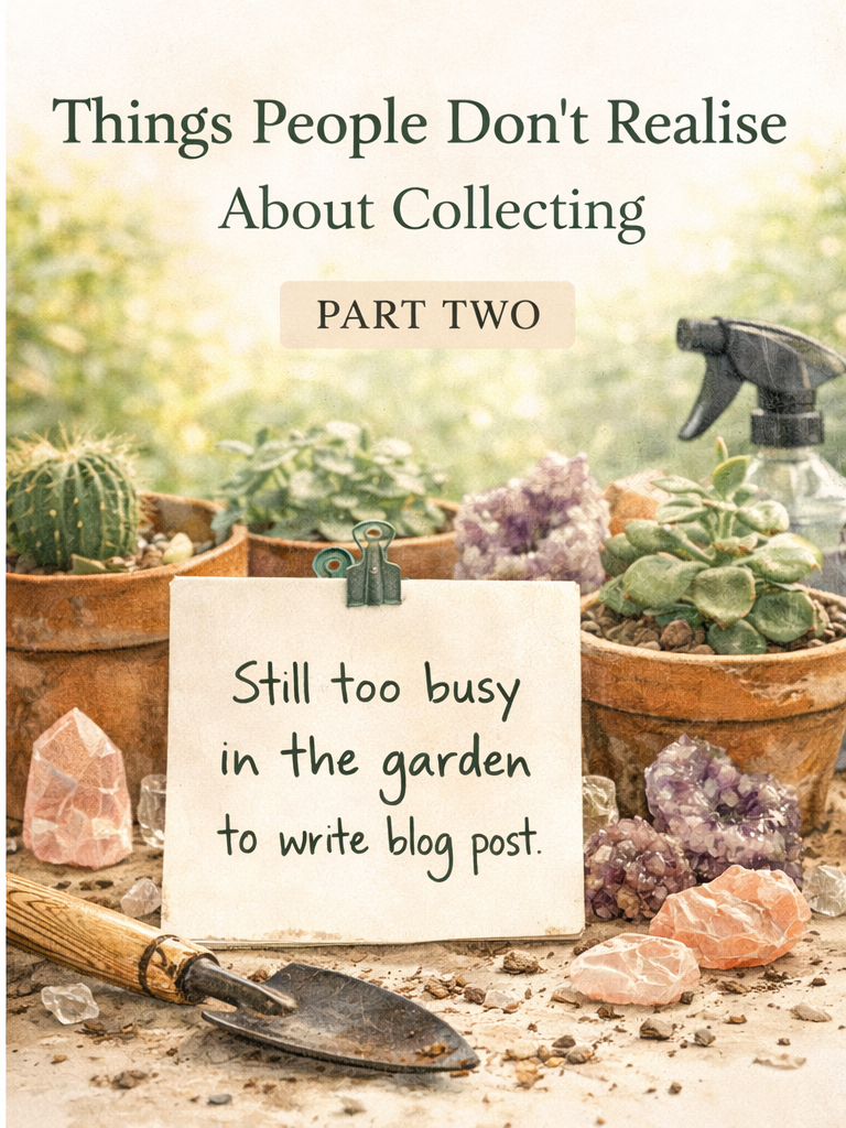 Things People Don’t Realise About Collecting Plants & Crystals (Until They Do)- part 2