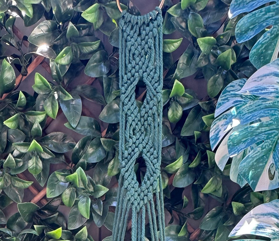 Thumbnail: Macrame Plant Hangers - Various sizes/colours/styles