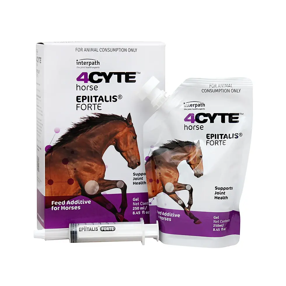 4CYTE Horse EPITALIS FORTE packaging with syringe