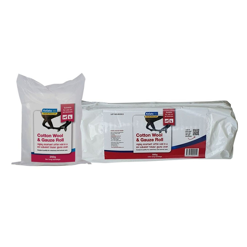 Two packs of Cotton Wool & Gauze Roll