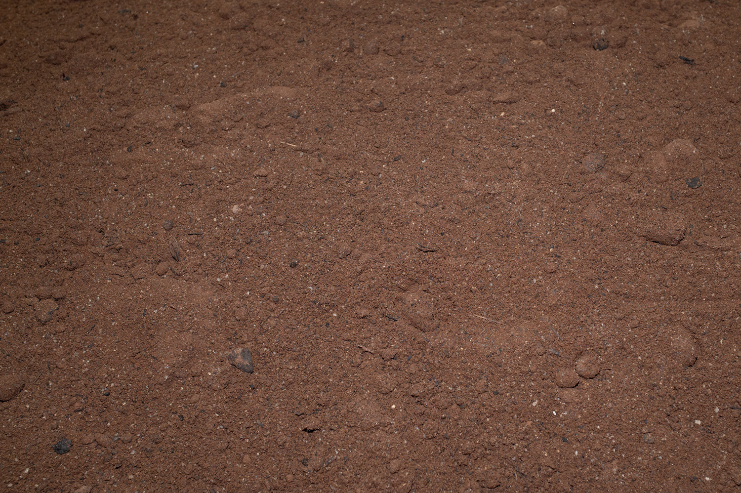 Organic loam