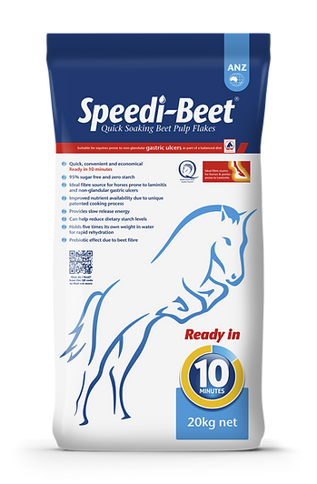SpeediBeet.png