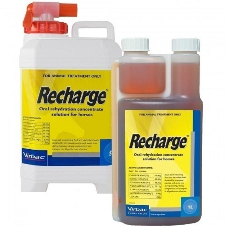 Recharge product in two different sized containers