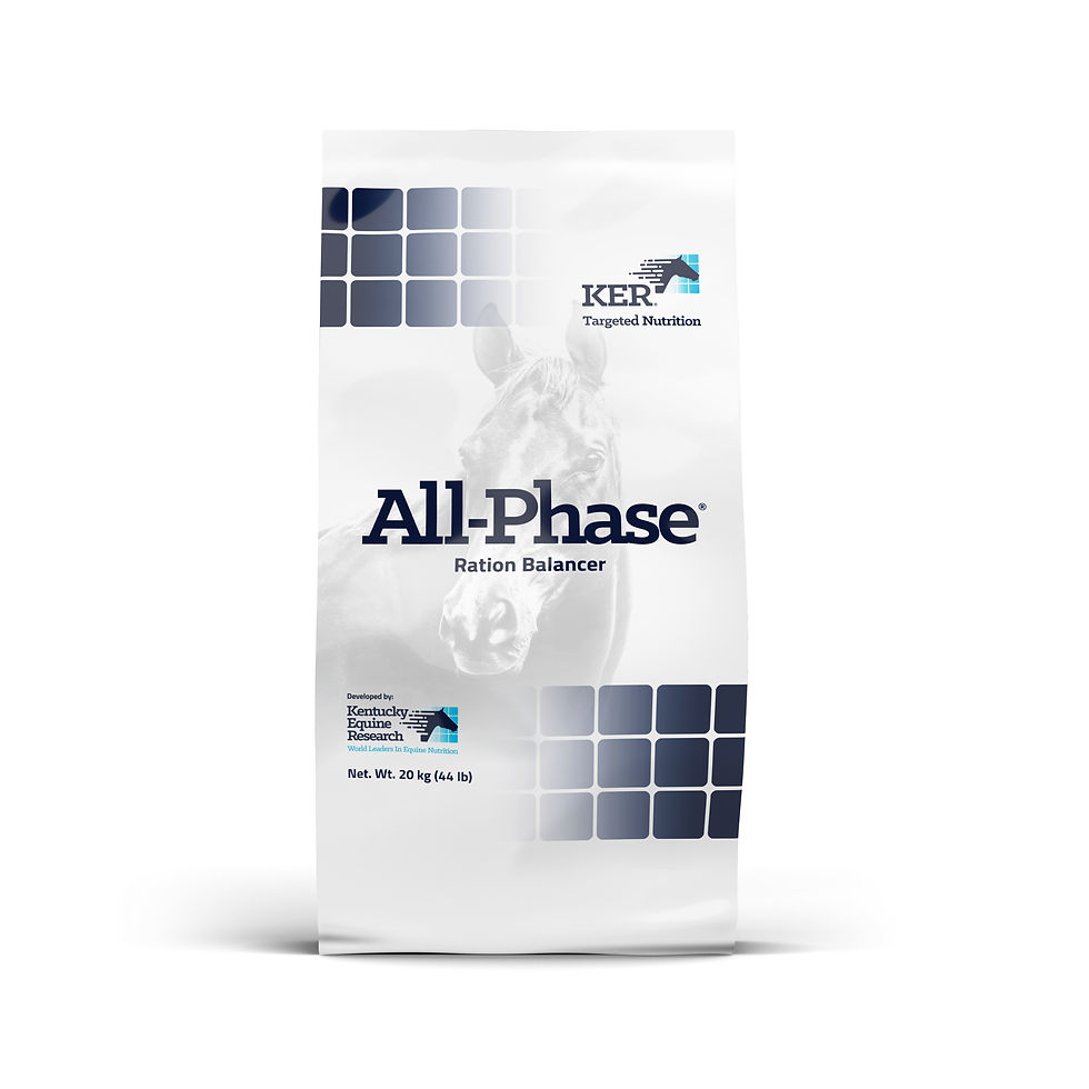 All-Phase Action Balancer 20 kg