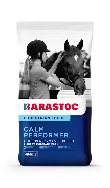 calm performer
