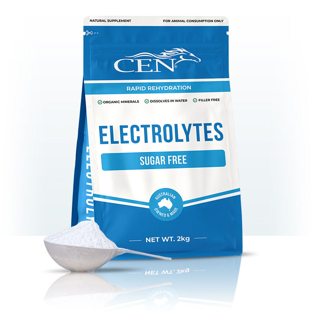 CEN Electrolytes Sugar Free 2kg bag, scoop of powder