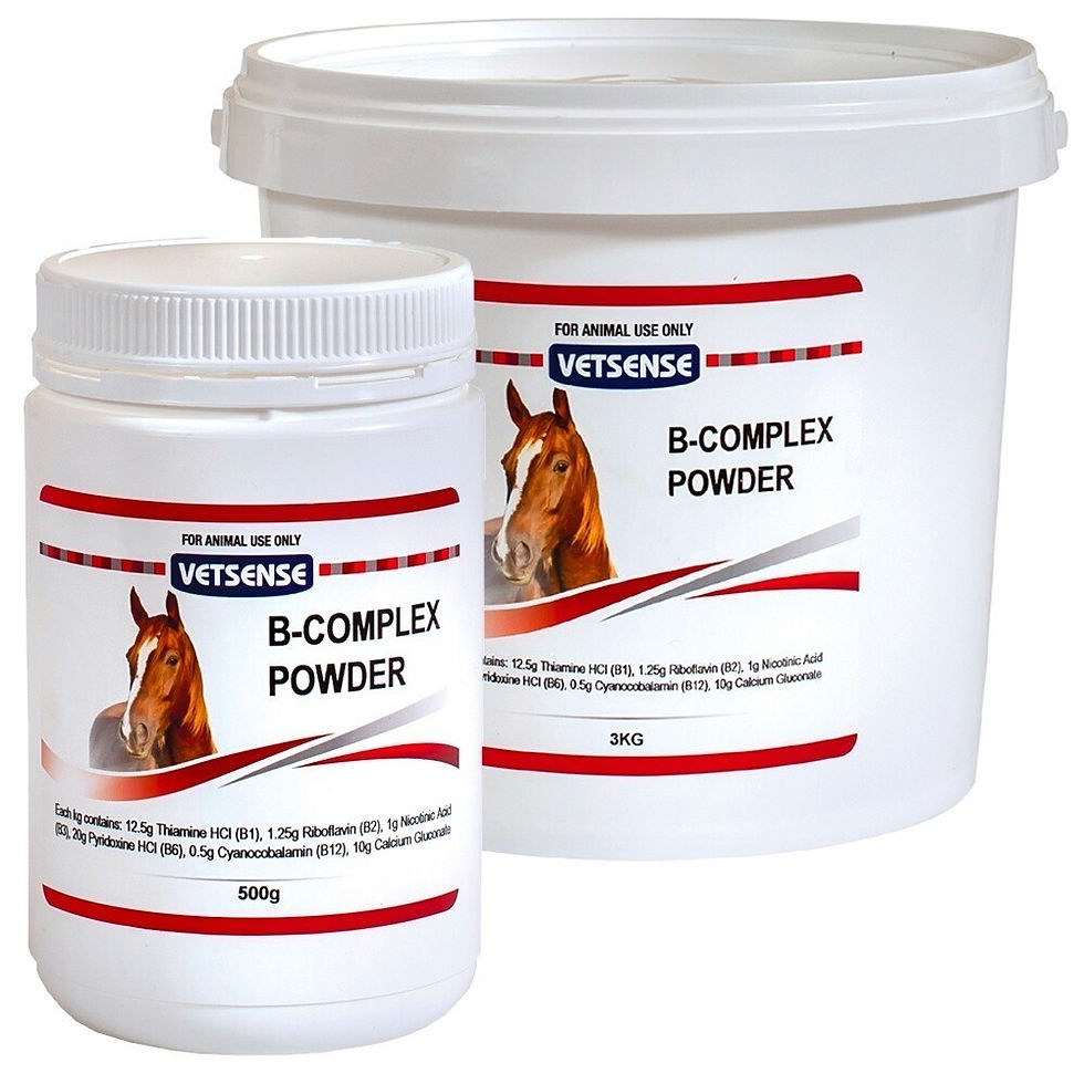 Two white Vetsense B-Complex Powder tubs with a horse logo