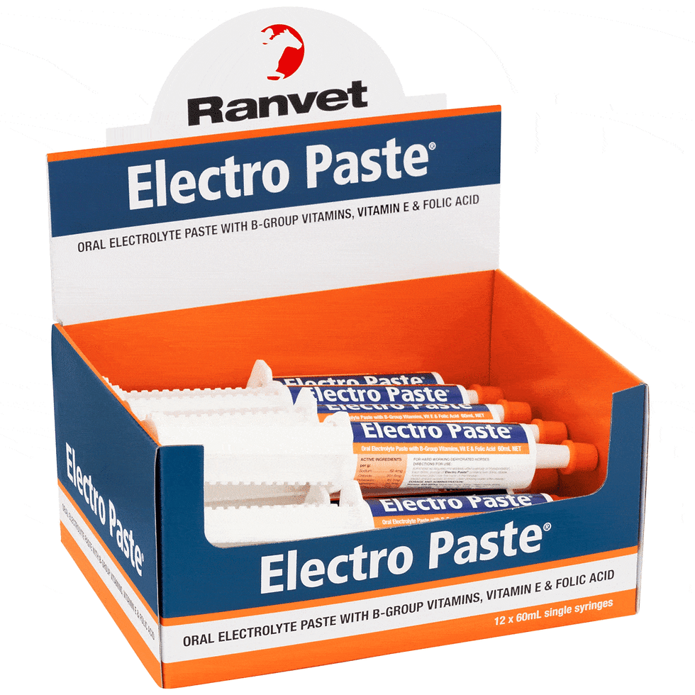 Ranvet Electro Paste oral electrolyte paste with vitamins in 12 syringes