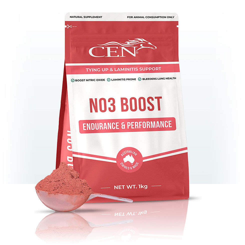CEN NO3 Boost endurance supplement bag and scoop of powder
