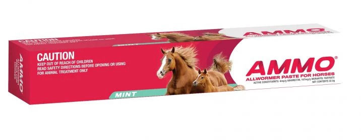 AMMO Ivermectin Paste for Horses, Mint