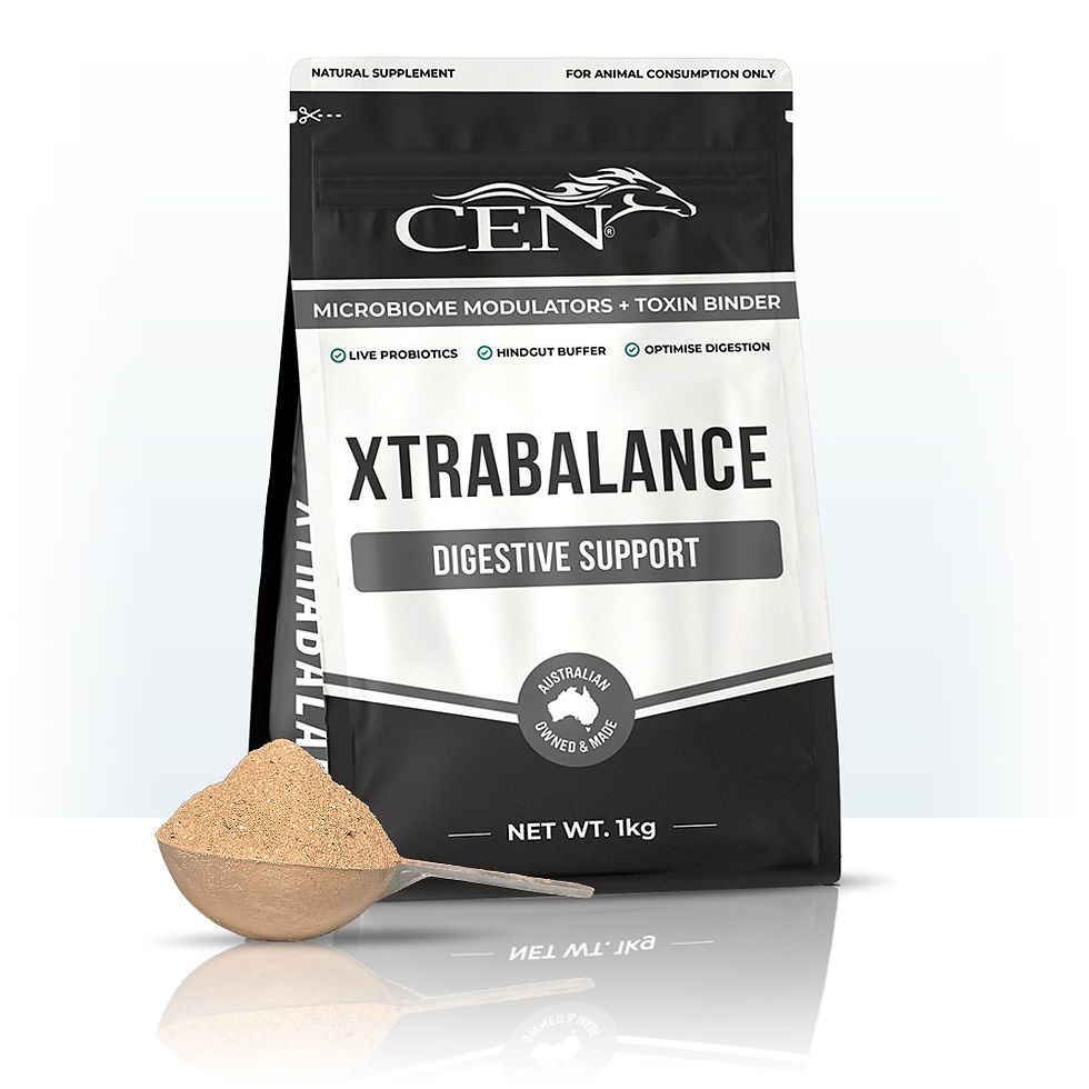 CEN XTRABALANCE DIGESTIVE SUPPORT pouch and scoop