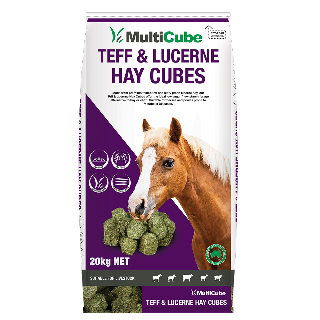 MultiCube Teff & Lucerne Cubes