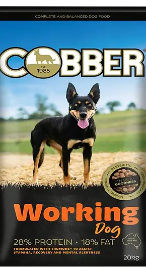 cobber working.webp