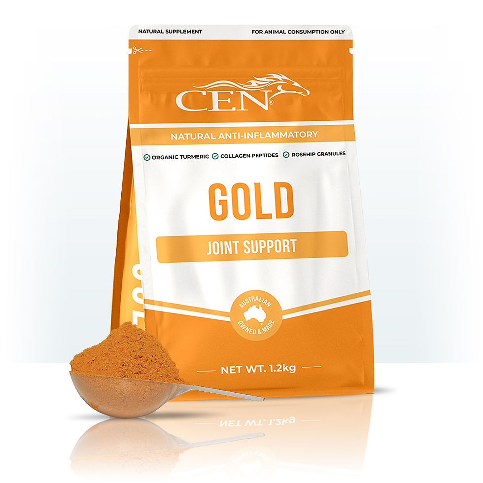CEN GOLD Joint Support powder with scoop