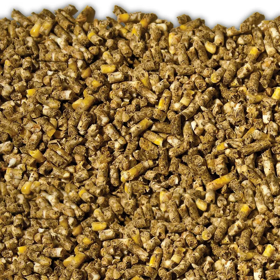 Animal feed pellets