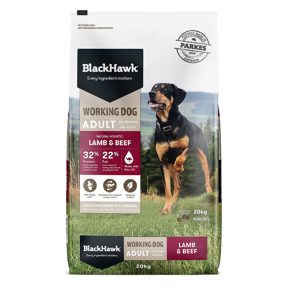 Thumbnail: Black Hawk Range