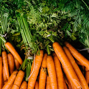 Fresh carrots