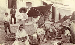 Mercado_callejero._México_1900.jpg